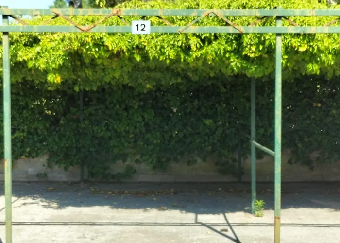 Casa Degli Ulivi Apartamento